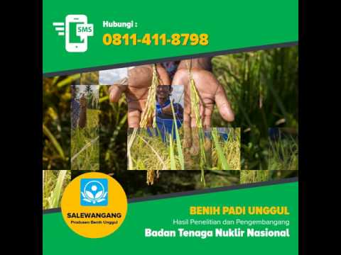 Bagaimana berhenti merokok akan mempengaruhi potensi Patogen dari hasrat seksual bagi perempuan