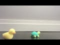 Animal Parade