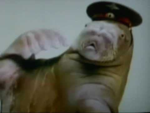 SuperXclusivo: La Morsa "Demandame"