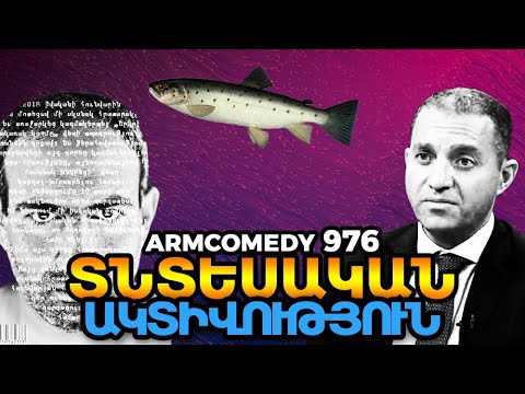 ArmComedy 976 – Տնտեսական ակտիվություն