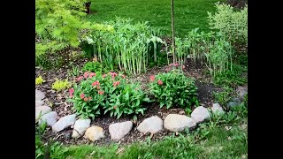 May Garden Tour 2025
