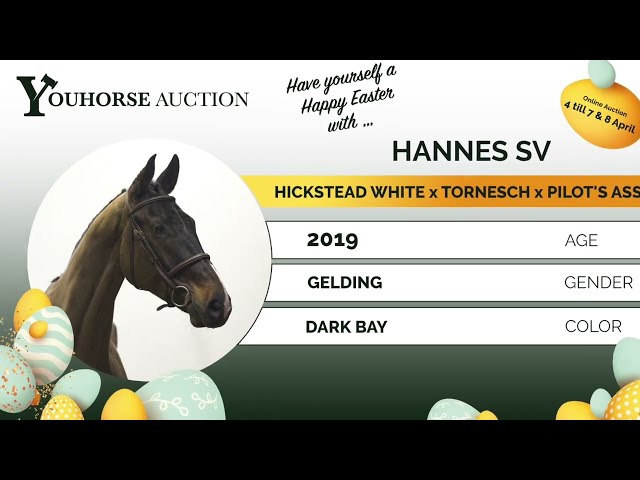 Hannes trainingsvideo March 29