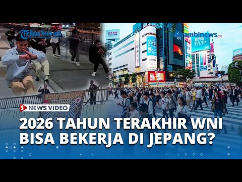 Tingkah Buruk WNI Jadi Sorotan, 2026 Tahun Terakhir Indonesia Diizinkan Kirim Pekerja ke Jepang?