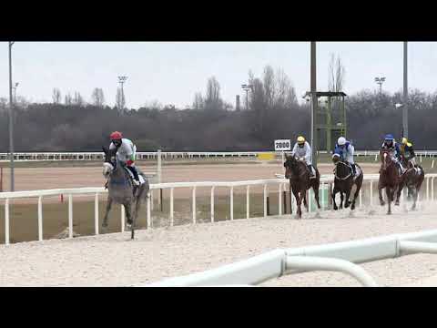 2020.12.27. 03. futam - TOTALIZATŐR HENDIKEP (Elit o.) (szintetikus pálya)