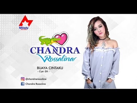 Chandra Rosalina - Buaya Cintaku | Dangdut [OFFICIAL]