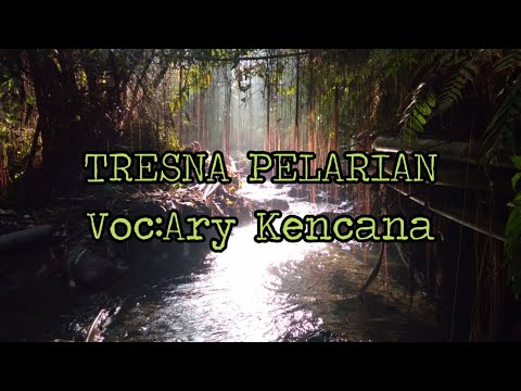 TRESNA PELARIAN Voc:ary kencana #lagubalilawas#lagubalikenangan#tembangkenangan