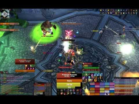 Professor Putricide Hardmode 25 By Paragon