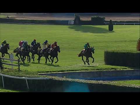 PE, 8. 9. 2018, 6. dostih - Cena města Pardubic – EURO EQUUS – IV. kvalifikace na 128. VP s ČP