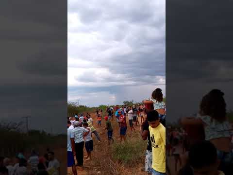 Animal polda Martins São Gabriel. Poldo de Sandro Oriboché Irecê.