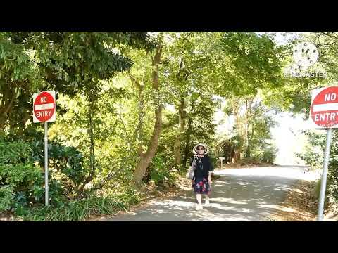 Thuö Ban Däu . (St.Phąm Dình Chůöng) . Rose Hoang