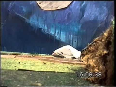 s187 Percy The Small Engine & Friends episode 10