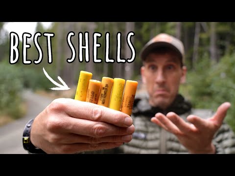 BEST Shotgun Shells for Grouse Hunting and Small Game Hunting