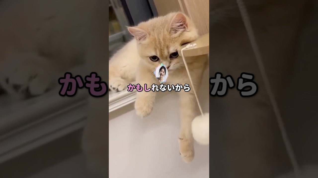 【怖い話】親戚の家に謎の地下室がある