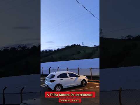 o som das cigarras no fim de tarde do interior do Brasil em Tomazina no Paraná. Nostalgia