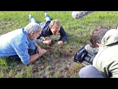 BuitenGewoon 3 augustus 2019 - Wisselse Veen