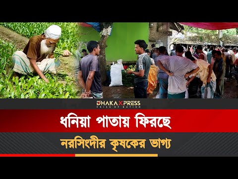 নরসিংদীতে ধনিয়া পাতার হাট, প্রতিদিন বিক্রি ২৫ লাখ টাকা