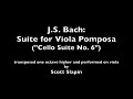 Bach: Suite for Viola Pomposa performed by Scott Slapin