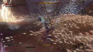 [SEKIRO]最高難易度にするためひた走る