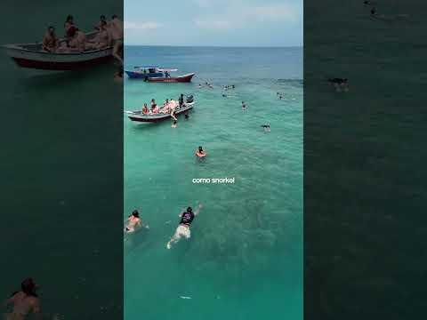 Salvaje lifestyle Cartagena