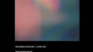 Maurizio Bianchi / Land Use ‎- Psychoneurose