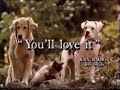 Disney S Homeward Bound The Incredible Journey VHS Release Ad 2 1993 Low Quality