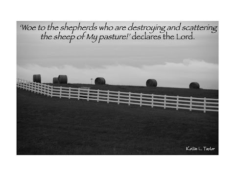 Heavy Shepherding: My Lord & Shepherd