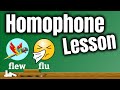 Homophone Lesson for Children | Grammar for Kids