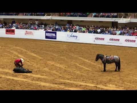 Mustang makeover 2017 Teryn Muench and Claude Dallas