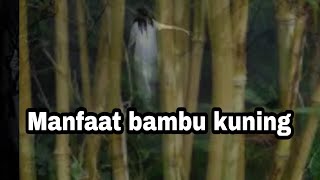 Download lagu 4 Manfaat bambu kuning menurut Primbon jawa mp3