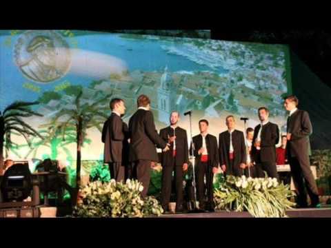 Klapa Arti - Dalmacijo, cvite moj (a cappella)