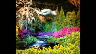 Things That Will Never Die