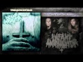INFANT ANNIHILATOR - "Torn From The Womb ...