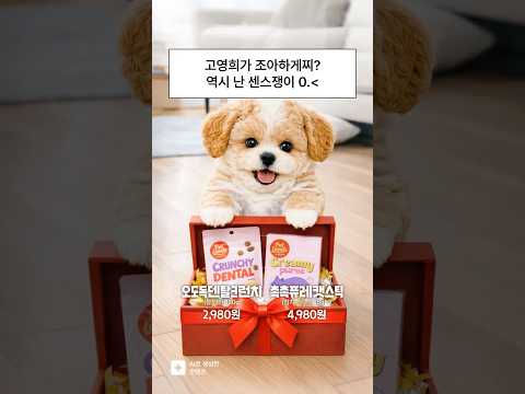 AI 모델 광고 사례: 노브랜드 견생 1년차 브이로그 장면