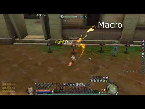 Aion 4.6 natural vs macro (gladiator pov)