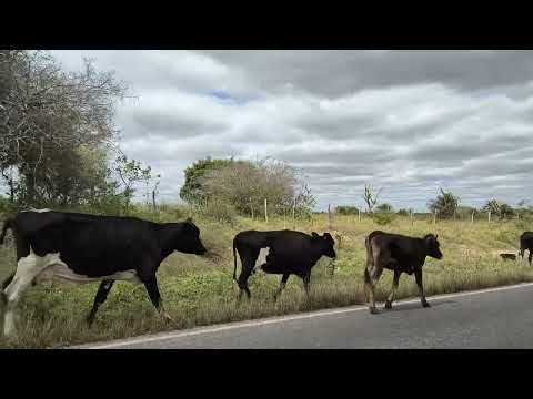 Na Bahia saindo de ponto novo a caldeirão grande 