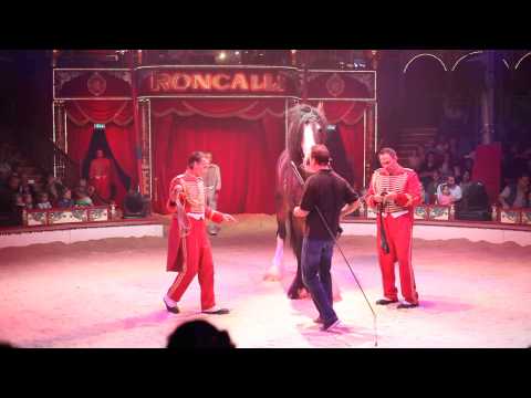 Circus Roncalli - the biggest horse breed standing on two feet