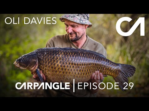 CARP FISHING | CARP ANGLE 29 | OLI DAVIES | THE THORNEY WEIR GAUNTLET!