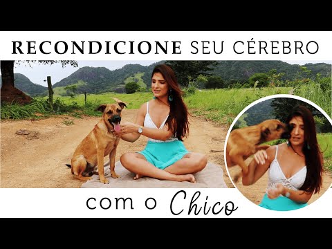 Recondicione o seu Cérebro
