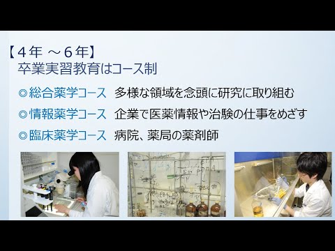 薬学科 薬学部 6年間の学び