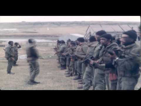 download lagu mp3 mp4 Sin Temor Volando Van, download lagu Sin Temor Volando Van gratis, unduh video klip Sin Temor Volando Van