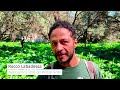 Il Bosco di Cancello Rotto: esperienze di Citizen Science e di Didattica in Ecologia nella città di Bari