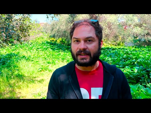 Il Bosco di Cancello Rotto: esperienze di Citizen Science e di Didattica in Ecologia nella città di Bari