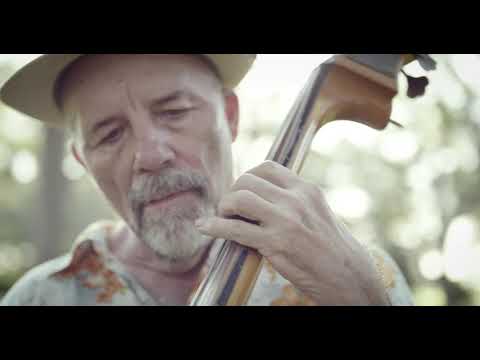 Sabertooth Swing - Lawn Boy (Phish Cover)