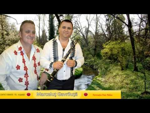 Formatia - Dan Balea - Marcelut Gavriluta - Sarba - Live