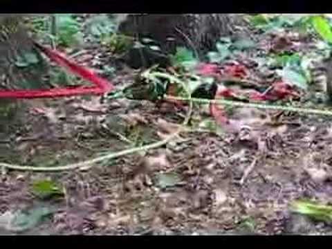 Rescue 540 belay catches the load