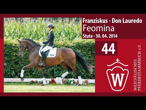 44 Feomina Stute v. Franziskus - Don Lauredo