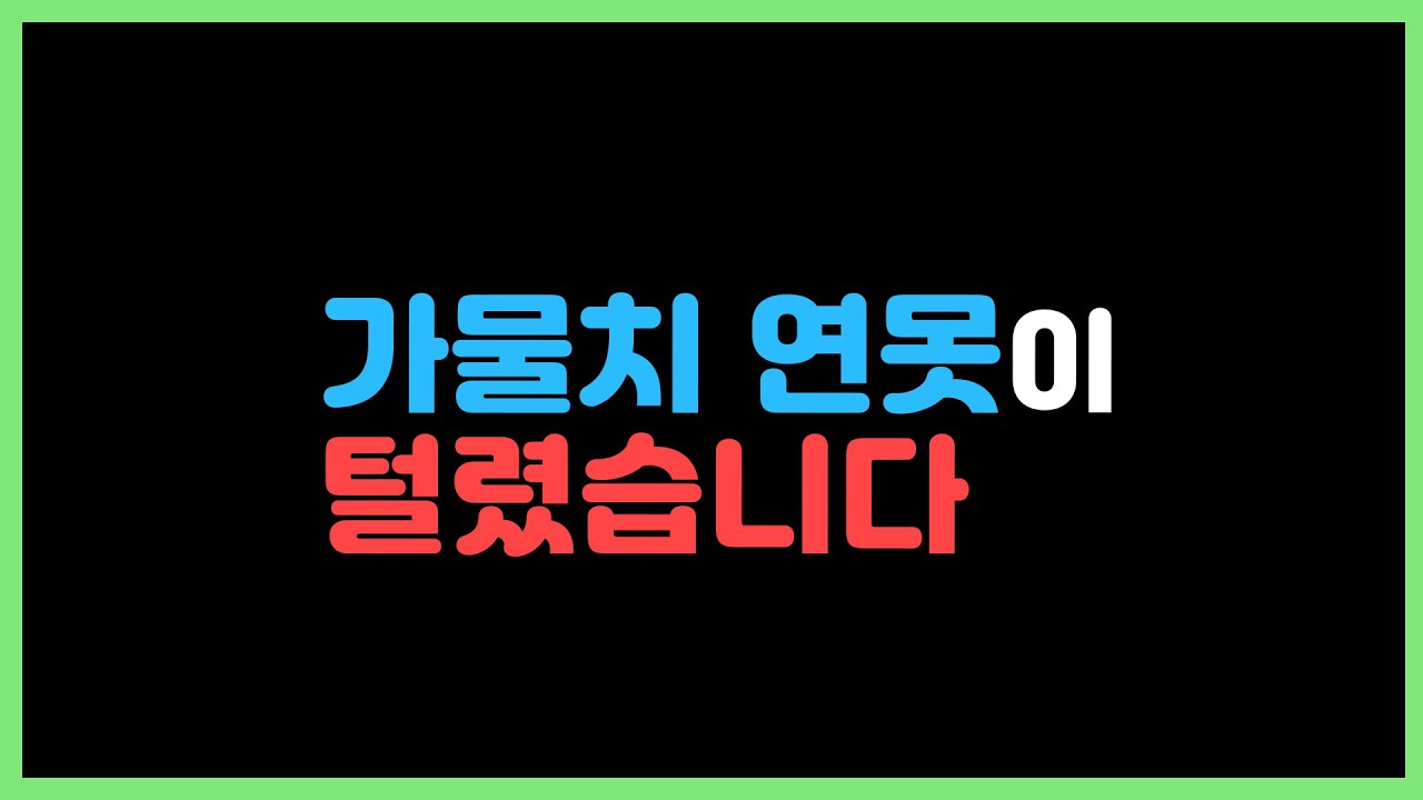 분노주의) 왜 CCTV를 훔쳐가시나요?