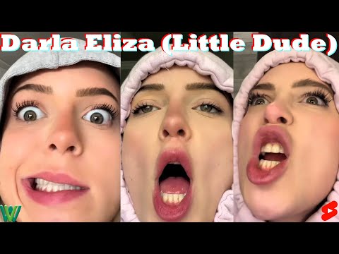 *1 Hour* Funny Little Dude Series By Darla Eliza | Best Darla Eliza Shorts