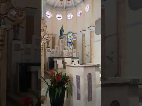 #shorts #shortvideo #short #culture #art #brasil #beautiful #history #church #igreja #iglesia #arte