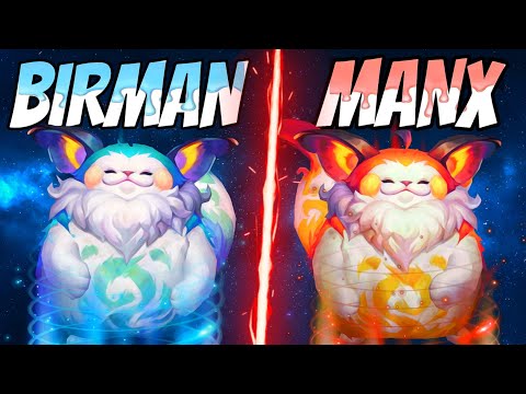 This Looks ILLEGAL! Crazy Birman X Manx - Summoners War